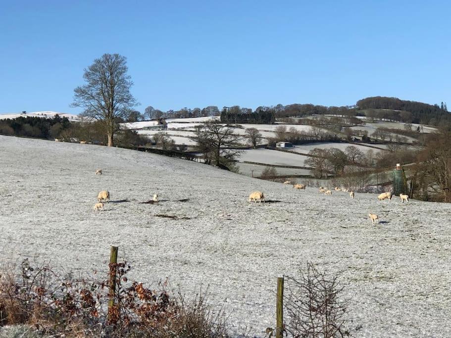 5F Stanley Lodge, Caer Beris, Builth Wells - No Tradesman Екстер'єр фото